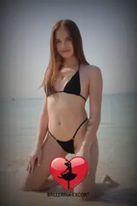 Stella — photo 3